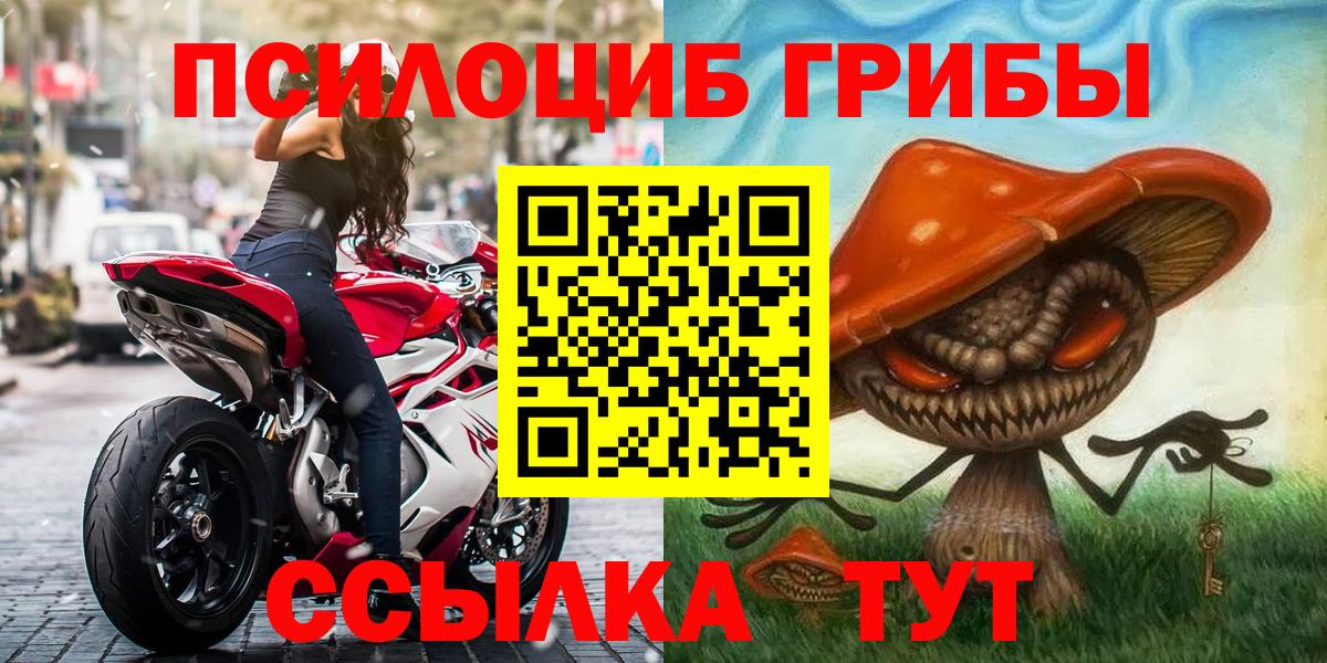Новый Уренгой  закладки  Вход с VPN  Галлюциногенные грибы Psilocybe 